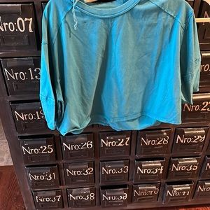 NWT We the free cropped tee